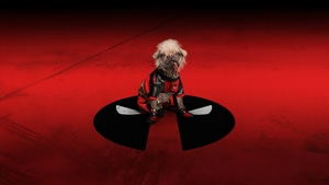 Deadpool And Wolverine, Deadpool 3, Wolverine, Deadpool, Dogpool, Superheroes, Movies, 4K wallpaper