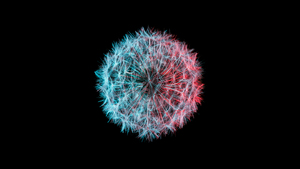 Dandelion flower, AMOLED, Black background, Closeup, 4K wallpaper