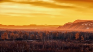 Morning, Nature, 4K wallpaper