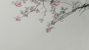 Tree, Flowers, Nature, Minimalism, Minimalist, 4K wallpaper