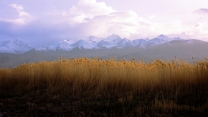 Grass, Landscape, Mountains, Nature, 4K wallpaper