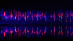 Neon, Artist, Artwork, Digital Art, 4K wallpaper