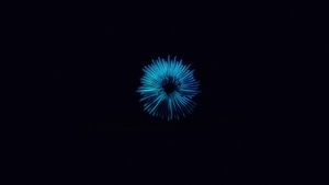 Flower, Dark, Black, Oled, Artist, Artwork, Digital Art, Flowers, 4K wallpaper