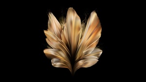 Vivo X Fold, AMOLED, Black background, 4K wallpaper