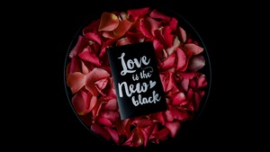 Rose Petals, Black background, 4K wallpaper