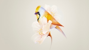 Birds, Ai, Artist, Artwork, Digital Art, 4K wallpaper