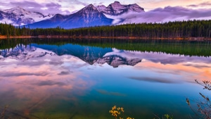 Trees, Lake, Reflection, Nature, 4K wallpaper