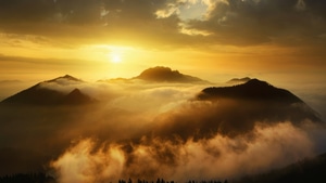 Morning, Nature, 4K wallpaper