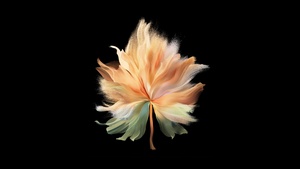 Vivo X Fold, Black background, AMOLED, 4K wallpaper