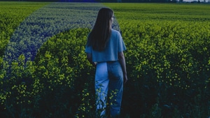 Girls, Model, Manipulation, Field, Photography, 4K wallpaper