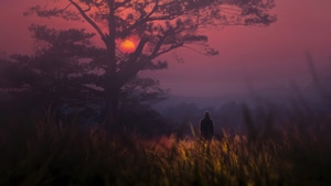 Alone, Evening, Artist, Artwork, Digital Art, 4K wallpaper