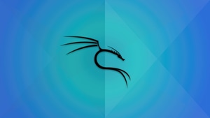 Kali Linux, Backtrack, Linux, Computer, Logo, 4K wallpaper