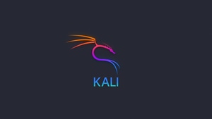 Kali Linux, Linux, Computer, 4K wallpaper