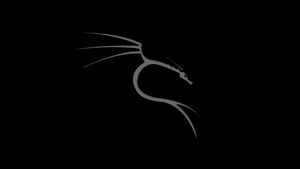 Kali Linux, Linux, Computer, Dark, Black, Oled, 4K wallpaper