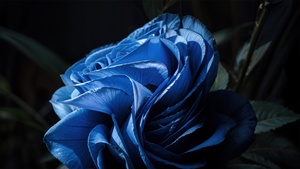 Windows 11, Bloom, AI art, Paper Art, Dark theme, Dark Mode, 4K wallpaper