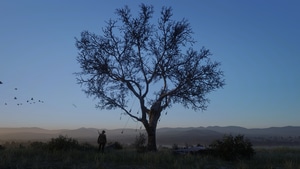 Red Dead Redemption 2, Games, 2024 Games, Ps4 Games, Xbox One Games, Google Stadia, Pc Games, Video Games, 4K wallpaper