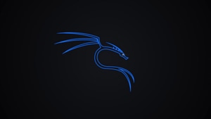 Kali Linux, Linux, Computer, Dark, Black, 4K wallpaper