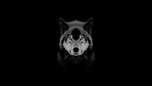 Wolf, Dark, Black, Oled, Artist, Artwork, Digital Art, 4K wallpaper
