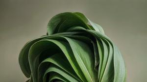 Windows 11, Green aesthetic, Paper Art, 4K wallpaper