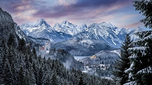 Germany, World, Snow, Morning, Nature, 4K wallpaper