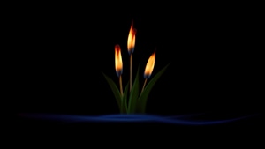 Fire, Dark, Black, Oled, Artist, Artwork, Digital Art, 4K wallpaper
