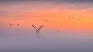 Windmill, Morning, Nature, 4K wallpaper