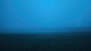 Mist, Trees, Fog, Nature, 4K wallpaper