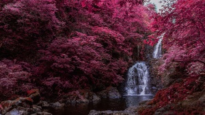 Waterfall, Pink aesthetic, Infrared Photography, Water Stream, 4K wallpaper