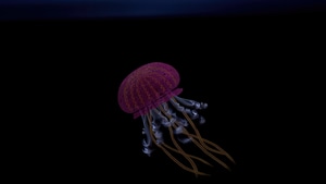 Jellyfish, Underwater, Animals, Dark, Black, Oled, Artist, Artwork, Digital Art, 4K wallpaper