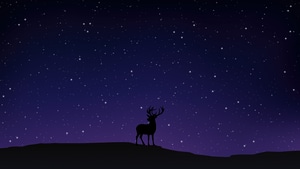Reindeer, Night, Stars, Sky, Artist, Artwork, Digital Art, 4K wallpaper