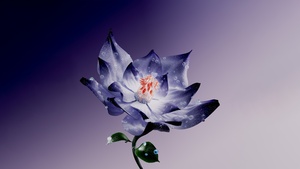 Lotus flower, Digital Art, Purple Flower, Water Lily, Digital flower, Purple background, Purple aesthetic, 4K wallpaper