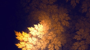 Tree, Leaves, Nature, 4K wallpaper