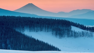 Winter, Snow, Nature, 4K wallpaper
