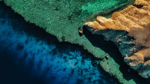 Coastline, Coral reef, Drone photo, Aerial view, NEOM, Outdoor, Blue Water, 4K wallpaper