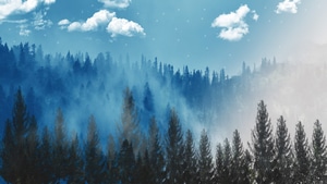 Forest, Artist, Artwork, Digital Art, Deviantart, 4K wallpaper