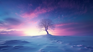 Snow, Tree, Nature, 4K wallpaper