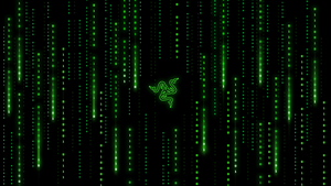 Razer, Matrix falling code, Program, Coding, Programming, Bits, Binary, 4K wallpaper