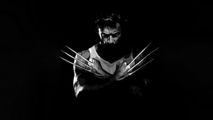 Wolverine, Superheroes, Artwork, Monochrome, Digital Art, 4K wallpaper