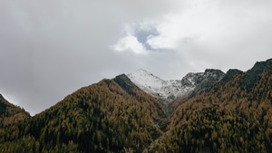 Landscape, Mountains, Trees, Nature, 4K wallpaper
