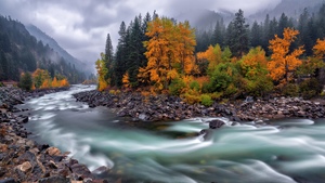 Autumn, River Stream, Flowing Water, Autumn foliage, Misty mountains, Rocky shore, Long exposure, Serene, Cloudy Sky, Autumn Scenery, Autumn season, 4K wallpaper