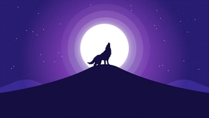 Wolf, Minimalism, Minimalist, Silhouette, Illustration, Artist, Artwork, Digital Art, 4K wallpaper