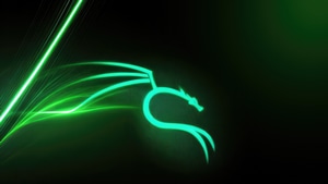 Kali Linux, Backtrack, Linux, Computer, 4K wallpaper