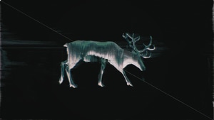 Reindeer, Glitch, Artist, Artwork, Digital Art, 4K wallpaper
