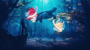 Autumn Forest, Dreamy, Fishes, Turtle, Dreamlike, Surrealism, Man, Underwater, 4K wallpaper