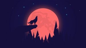 Wolf, Minimalism, Minimalist, Artist, Artwork, Digital Art, 4K wallpaper
