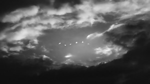 Birds, Peace, Monochrome, Black And White, Artist, Artwork, Digital Art, 4K wallpaper