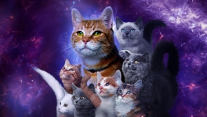The Marvels, 2023 Movies, Movies, Cats, 4K wallpaper