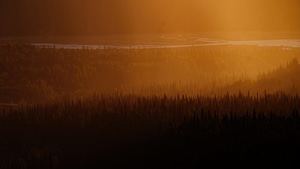 Nature, Evening, Dark, 4K wallpaper