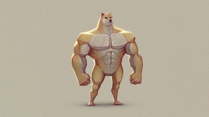 Dogecoin, Currency, Crypto, Behance, 4K wallpaper