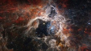 Tarantula Nebula, Nebula, Digital Universe, Artist, Artwork, Digital Art, 4K wallpaper